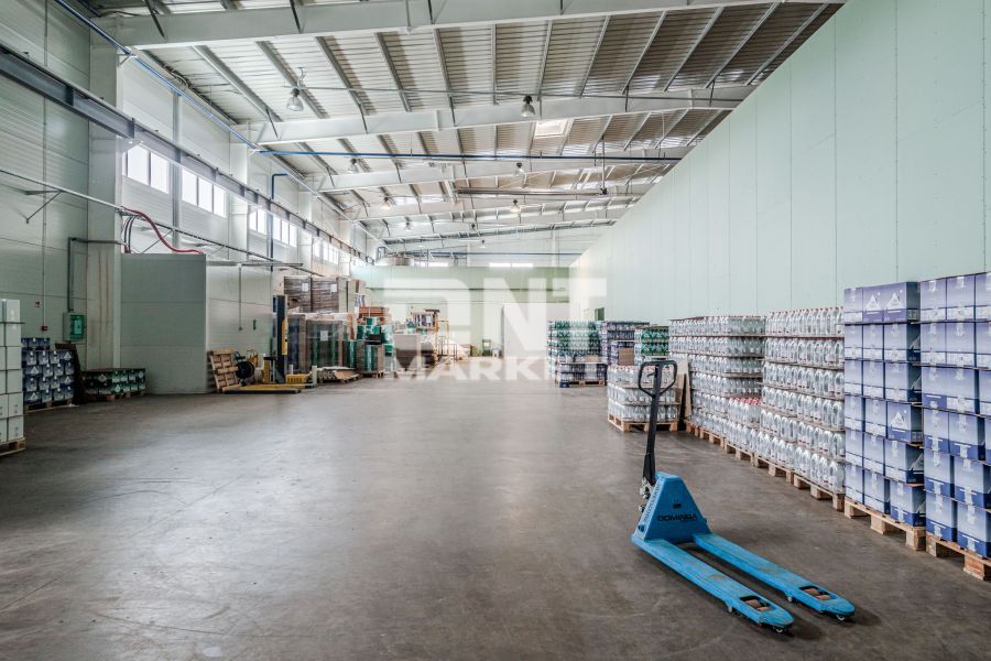 Pamiškės g. Švepeliai - 4