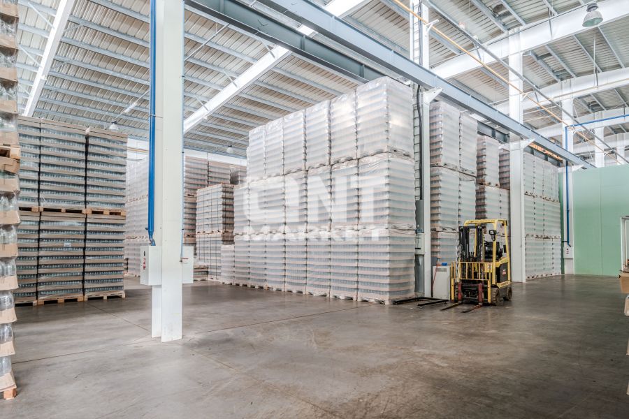 Pamiškės g. Švepeliai - 5