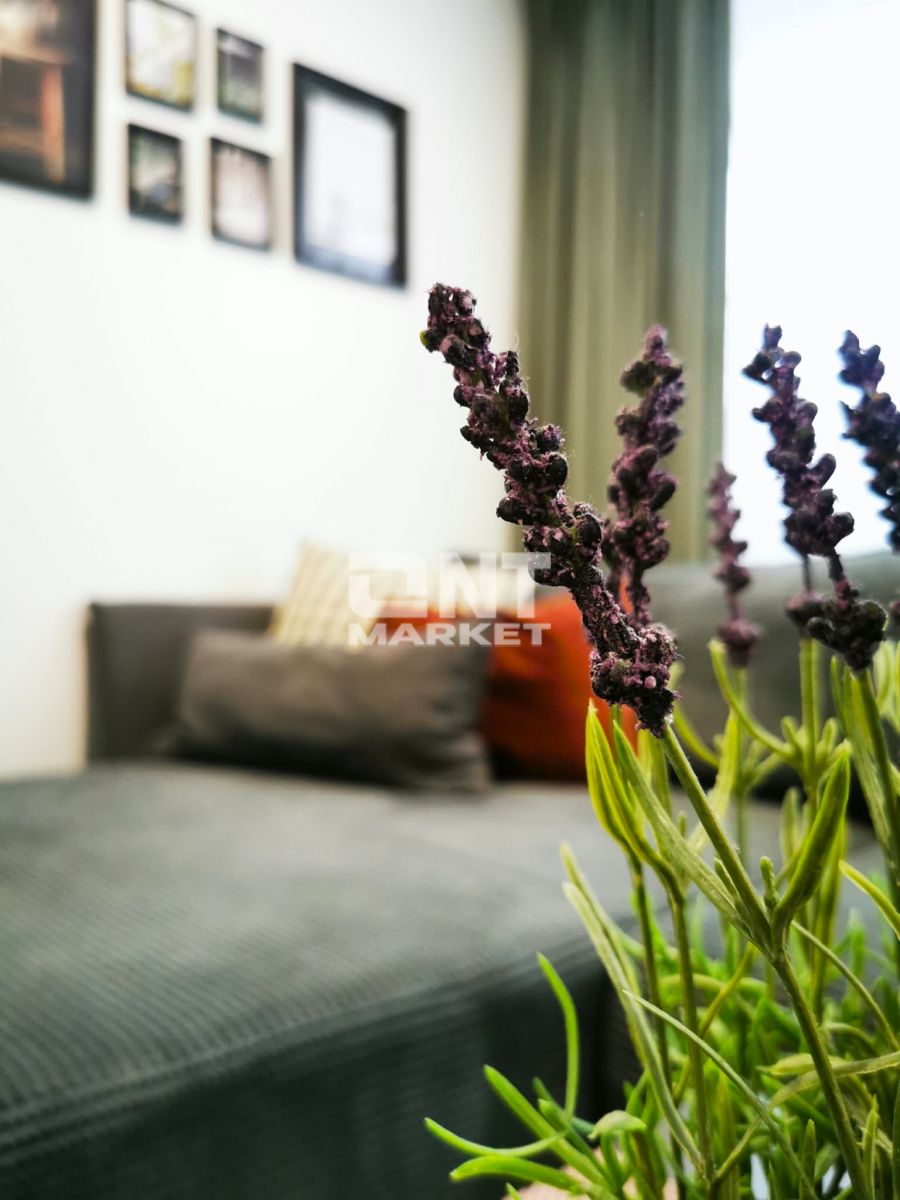 Malūnininkų g. Klaipėda - 7